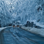 travel___Englishman In Gorski Kotar___Gorski Kotar, Croatia.