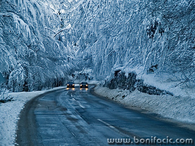 travel___Englishman In Gorski Kotar___Gorski Kotar, Croatia.
