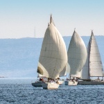 regatapnotb20panomal