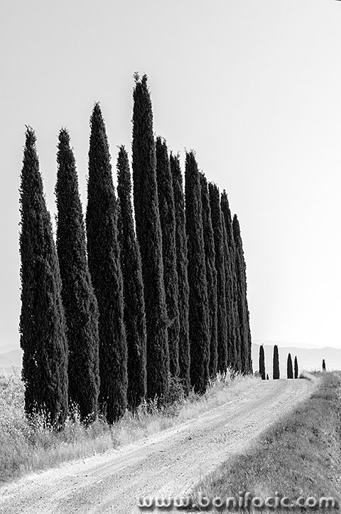 toscana200bwmal