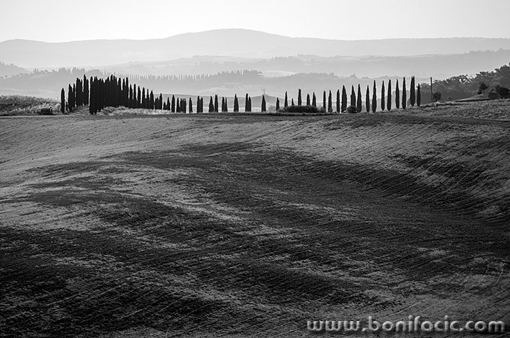 toscana204mal