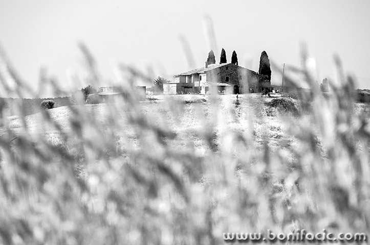 toscana218bwmal