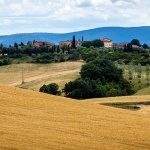 toscana50mal