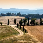 toscana77mal