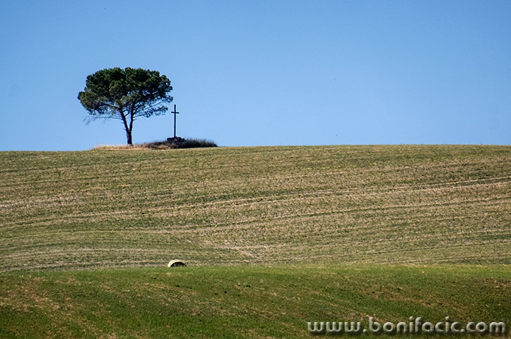 toscana72mal
