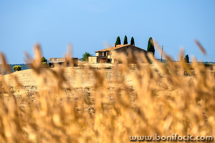 toscana129mal