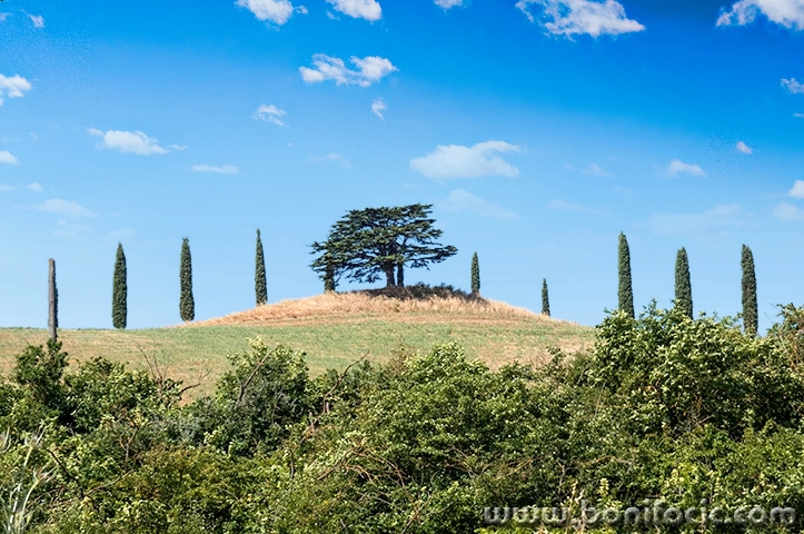 toscana71mal