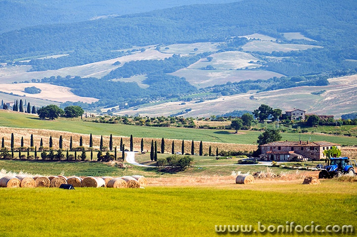 toscana212mal