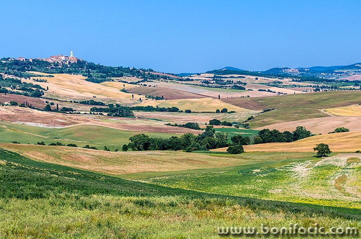toscana250mal