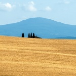 toscana208mal