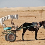 travel___Free Ride___Sahara, Tunisia.