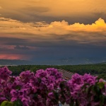 domaterasabugenvilijaoblaci1mal