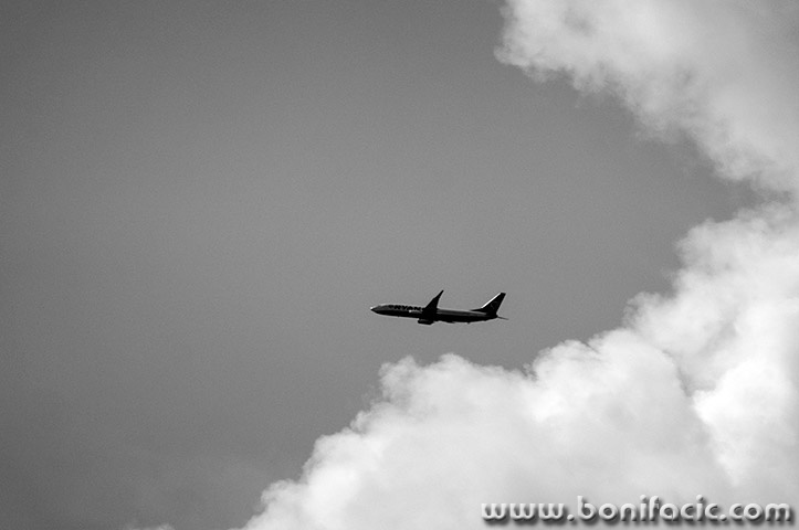 avionoblakbw1mal