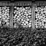 rastokemlindrvabw2mal