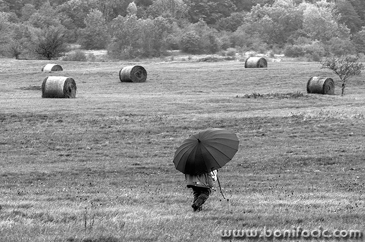 babaovcelika17bwmal