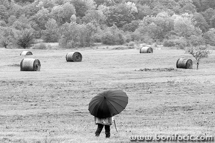 rastokefallsbabaovcelika26mal