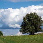 likalivadastablonebooblaci2mal