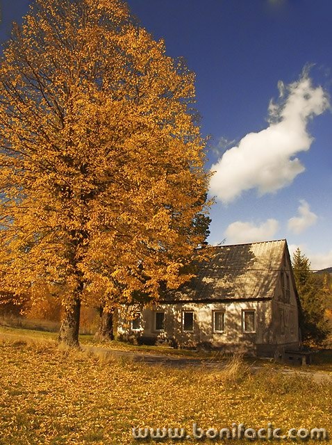travel___Gold Colored___Krasno, Croatia.