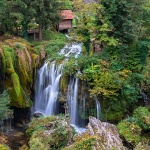 rastokefalls16mal