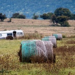 biunicbalekamper1mal