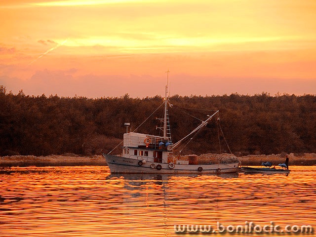 travel___Gonna Fishing___Punat, Croatia.