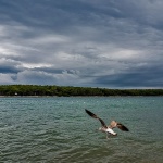 valibukagalebjugo1mal