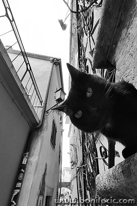 lovrammarunada8bwmal