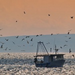 travel___Hunger___Punat, Croatia.