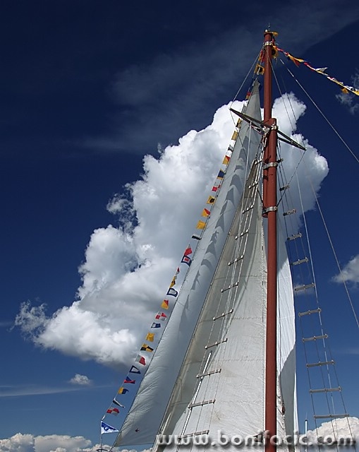 travel___In Full Sail___Punat, Croatia.