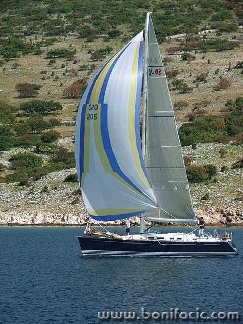 action___Bear Up___Punat, Croatia.