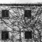 kucaodmaralistepetrinjabrsljanbw1mal