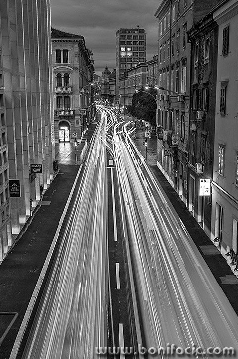 riadamicevalighttrails8bwmal