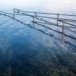 golubibukaskalemorebrule1mal