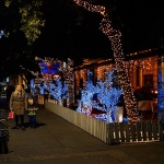 ricacaoadventnoc1mal