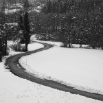 gomirjecestasnigbw1mal