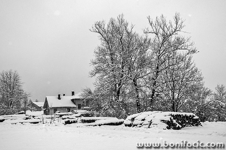 josipdolkolodvorkucasnig2bwmal