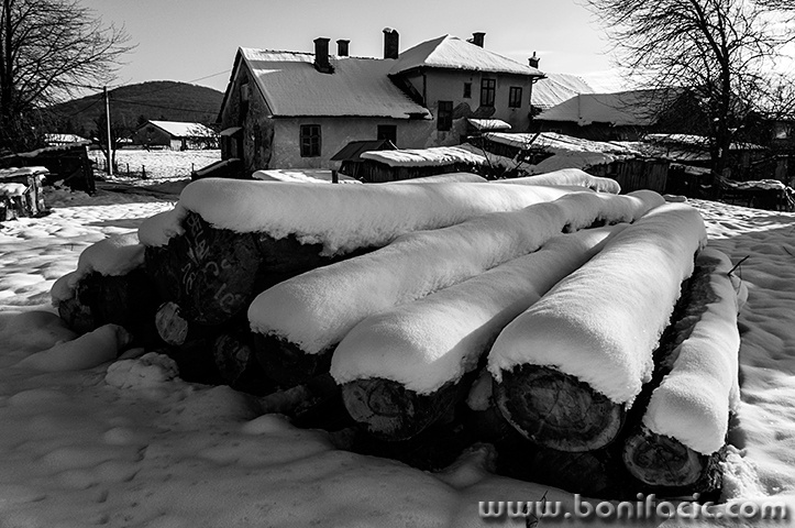 josipdollaherkucatrupcisnigbw3mal